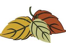 autumn leaf image